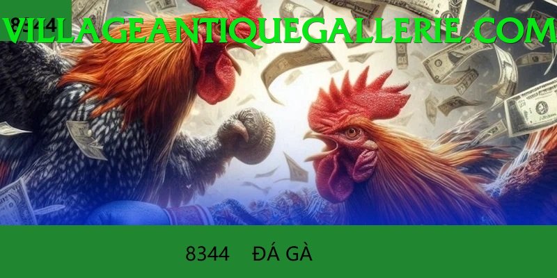 Đá Gà Trực Tiếp - Trải nghiệm tuyệt vời