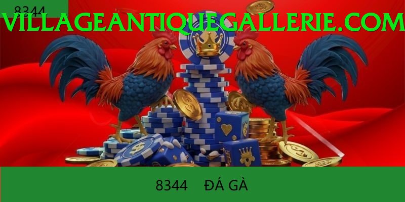 Đá Gà Trực Tiếp - Ưu đãi đặc biệt